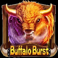 Buffalo Burst