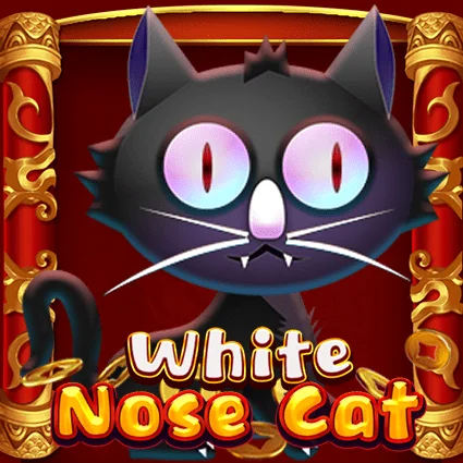 White Nose Cat