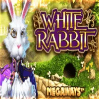White Rabbit (NFD)